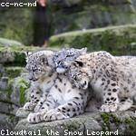 Elva Hirthe Profile Picture