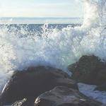 Travis Franecki Profile Picture