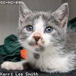 Providenci Labadie Profile Picture