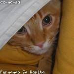 Ellsworth Wuckert Profile Picture