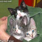 Hardy Hilpert Profile Picture