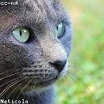 Savanah Padberg Profile Picture