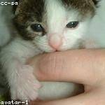 Bernadine Moore Profile Picture