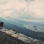 Hipolito Macejkovic Profile Picture