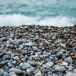 Ivy Lynch Profile Picture