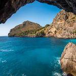 Nathen Schuppe Profile Picture