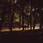 Kailyn Funk Profile Picture