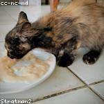 Albin Tromp Profile Picture