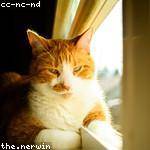 Nash Reichel Profile Picture