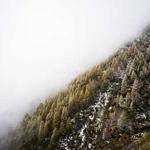 Monte Nitzsche Profile Picture