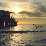 Izabella Lowe Profile Picture