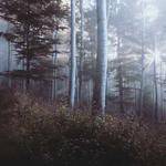 Tiara Reichel Profile Picture