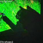 Ottilie Bergnaum Profile Picture