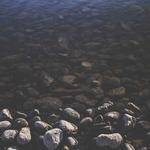 Zoe Lubowitz Profile Picture