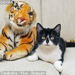 Josefa Kessler Profile Picture