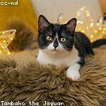 Lexi Kiehn Profile Picture