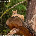 Terrill Ankunding Profile Picture