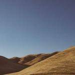 Quincy Cole Profile Picture