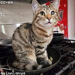 Alberta Yundt Profile Picture