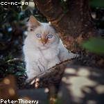 Maybelle Doyle Profile Picture