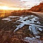 Sydni Gaylord Profile Picture