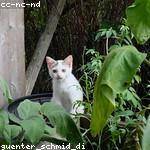 Addie Rosenbaum Profile Picture