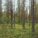 Micaela Cole Profile Picture