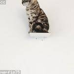 Camila Brakus Profile Picture