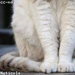 Dulce Krajcik Profile Picture