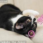 Everette Marks Profile Picture