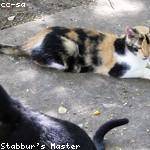 Greyson Reichert Profile Picture