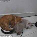 Marielle Stehr Profile Picture