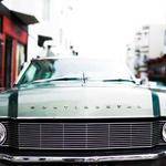 Antonette Botsford Profile Picture