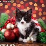 Ova Botsford Profile Picture