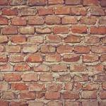 Lura Bogisich Profile Picture