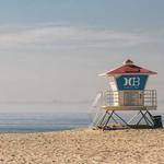 Delpha Cummerata Profile Picture